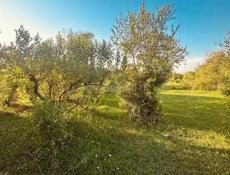 Участок аэропорт СРОЧНО