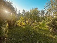 Участок аэропорт СРОЧНО