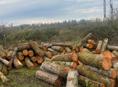 Продаю дрова 