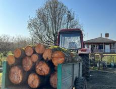 Продаю дрова 