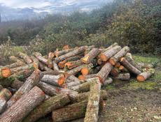 Продаю дрова 