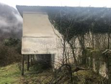 Бзыбское ущелье