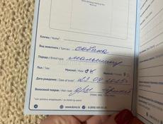 Собачка Мальтипу!