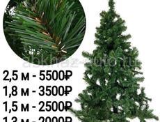 Продам елки по оптовым ценам