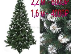 Продам елки по оптовым ценам