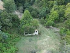 Участок 50 соток