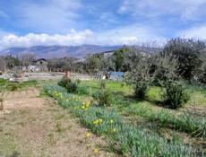 Продаю з/у Алахадзы