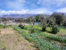 Продаю з/у Алахадзы