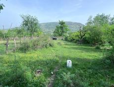 СУХУМ - ЧАНБА 50 СОТОК 