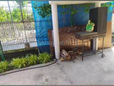 Сдам номера с кухнями на маяке у кинотеатра