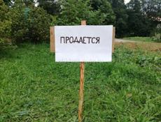 Дом с участком 25 соток 