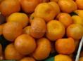 Продам 20тонн мандарин