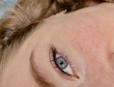 До 20 декабря