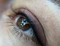 До 20 декабря 