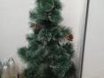 ПРОДАМ ЁЛКИ РАЗНЫЕ  !! В ПОДАРОК С ГЕРЛЯДАМИ  !! 