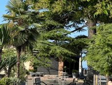 В поисках работы! 