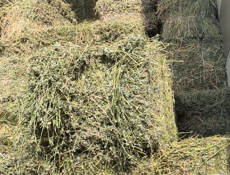 Сено люцерна 3-4 укос