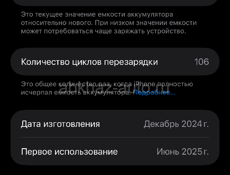 16 Pro Max 256GB 100%🔋 