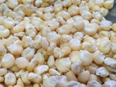 Кукуруза белая 