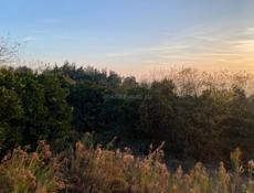 Участок 15 соток