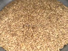 Фасоль Сухум