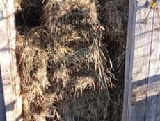 Сена в тюках 