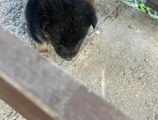 Мархяул центр заберите 