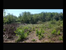 Очень срочно 🚨 Участок В Кинге Море рядам Горячи источники рядом