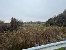 10 соток за 1100🍋