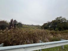 10 соток за 1100🍋