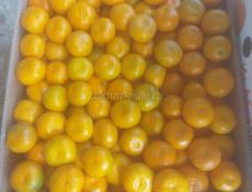 Мандарин с укладкой