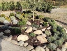 ЛАНДШАФТНЫЙ ДИЗАЙН, ОЗЕЛЕНЕНИЕ, УХОД ЗА РАСТЕНИЯМИ