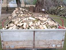 Продаю дрова Граб (Ахаца ) 9979197