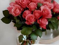 Ищу работу молодая девушка