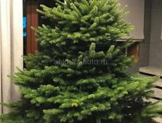 Датские елки