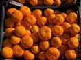 Продам мандарины.