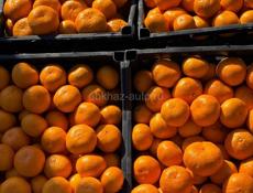 Продам мандарины.