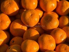 Продам мандарины.