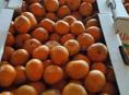 Продаю мандарины🍊