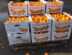 Продаю мандарины🍊