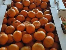 Продаю мандарины🍊