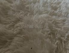 Volkswagen Caravella