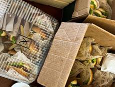 Aston Martin Volante