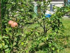 Продается дом в Агудзере 🏖️