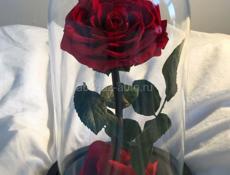 ВЕЧНАЯ РОЗА В КОЛБЕ