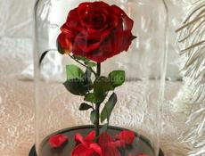 ВЕЧНАЯ РОЗА В КОЛБЕ