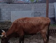 Продается ! 