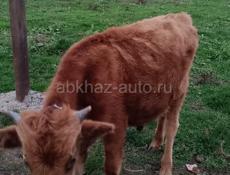 Продается ! 