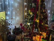 Продам красивую елку за символическую цену 