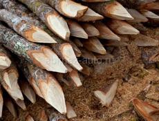 Дрова (акация, Мони, ) разного вида